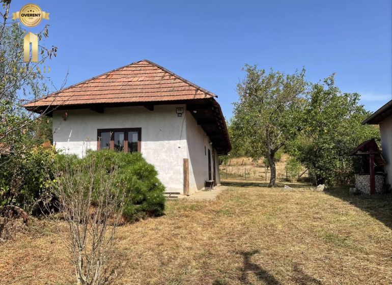 A cottage in Čaka with a garden, trees, shrubs, and a white facade, under a blue sky.