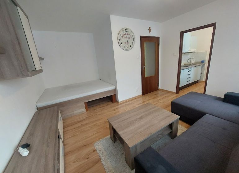 Living room in a studio apartment with wood-patterned flooring and a sofa.