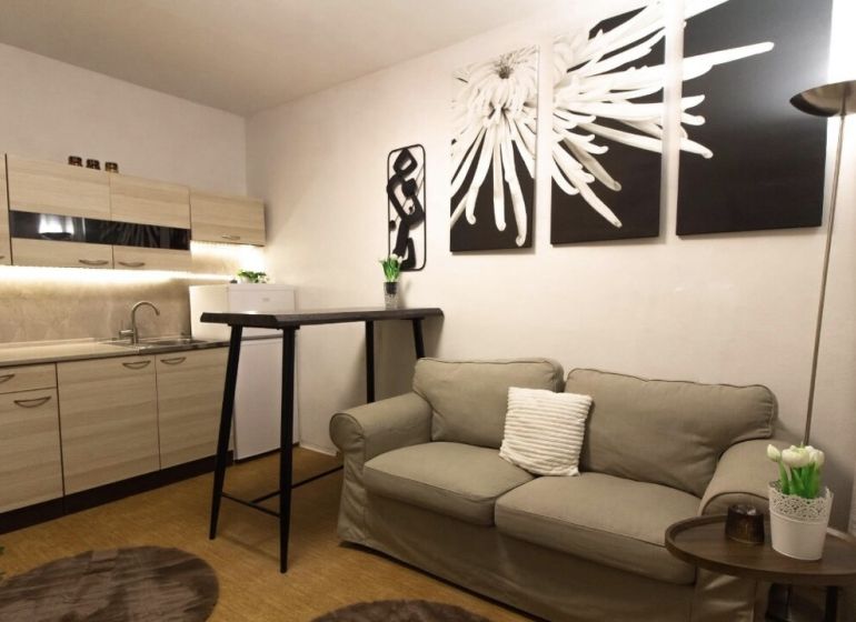 Living room in a studio apartment with a sofa and a kitchenette, wooden decor flooring.
