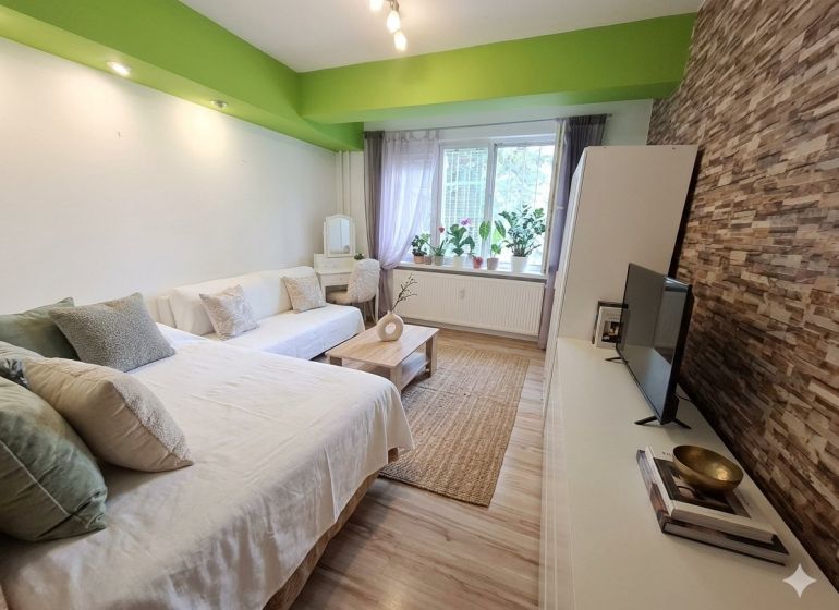 Living room in a 2-room apartment with a decorative wall and a wooden decor floor.