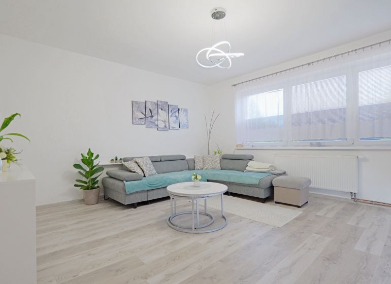 Living room with a large gray sofa, houseplants, and wood-patterned flooring.