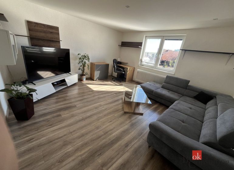 Living room with a gray sofa, television, and wood-patterned flooring in a 4-room apartment.