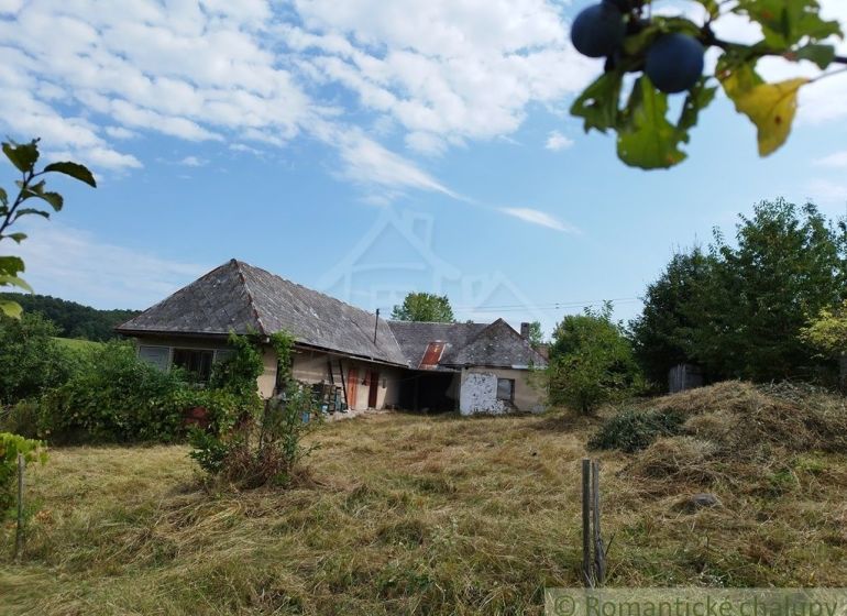 A cottage in Hrušov with an old roof surrounded by a green garden.