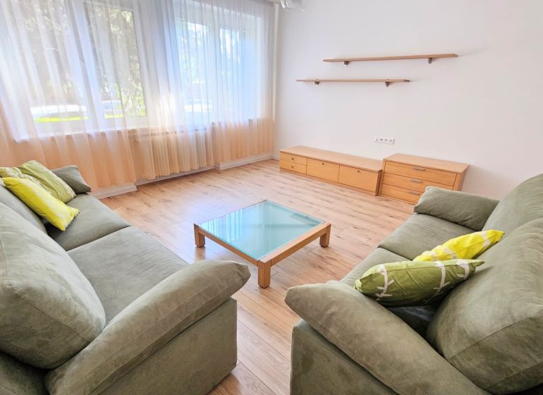 Living room in a two-room apartment with two sofas and a wooden decor floor.