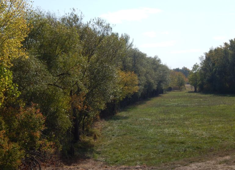 A view of a green meadow surrounded by trees at the Recreational Grounds in Martovce.