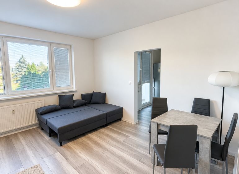 Living room in a two-room apartment with a sofa, dining table, and wooden decor flooring.