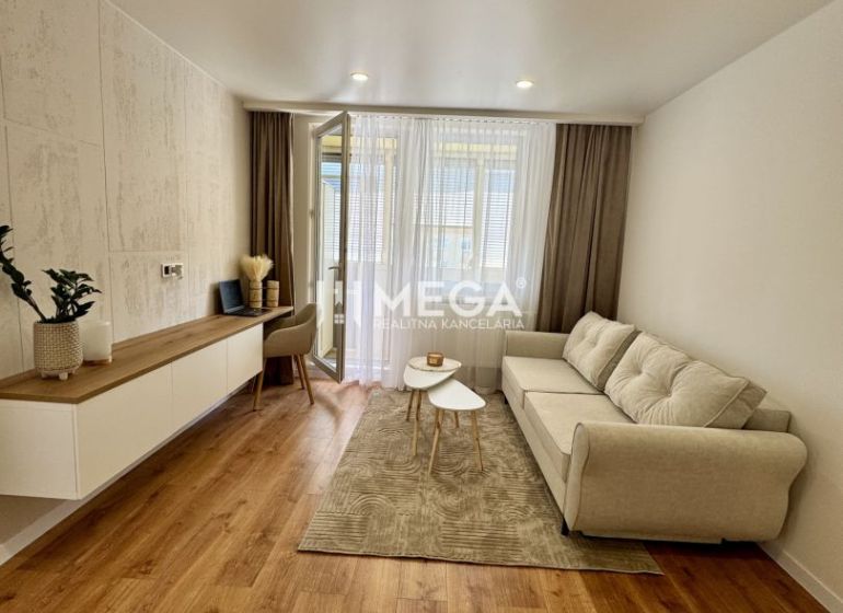 Living room in a studio apartment with a sofa and wood-patterned flooring.