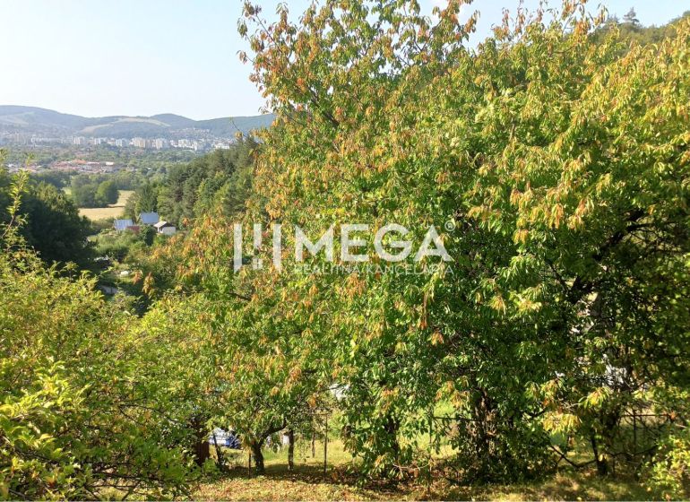 The greenery of gardens in Humenné with a view of the distant city and hills.