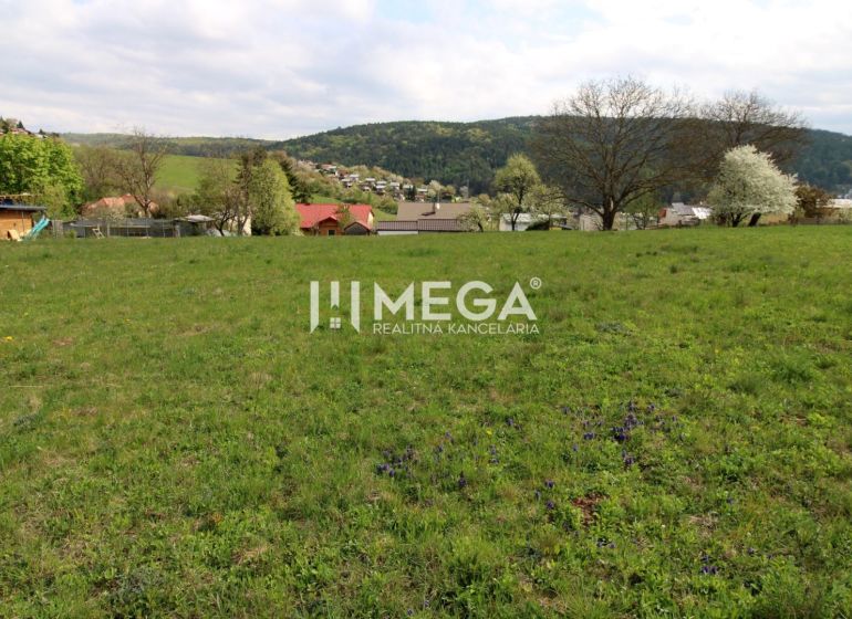 Greenery on residential plots on Brestovska Street in Humenne with a view of the hills.