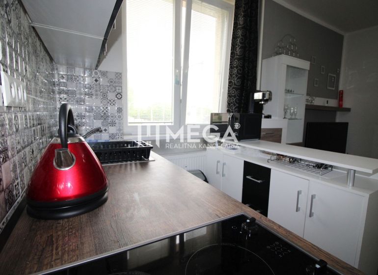 Kitchen unit with decorative tiles and appliances in the Recreational Apartment.