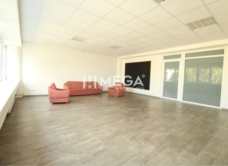 Spacious offices, sofas, large windows, and wooden decor flooring.