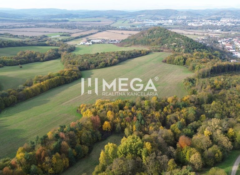 Aerial view of peculiar properties with forests and fields in Jasenov.
