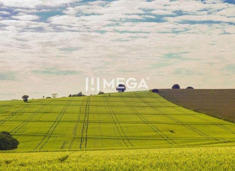 Vast green fields on commercial lands in Košice, location Košice IV.