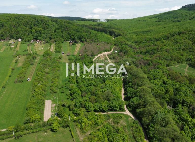 Gardens in Trnava pri Laborci surrounded by forests and fields offer a beautiful countryside view.