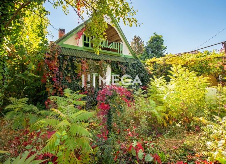 A family house in Petrovce surrounded by dense vegetation and climbing plants on the facade.