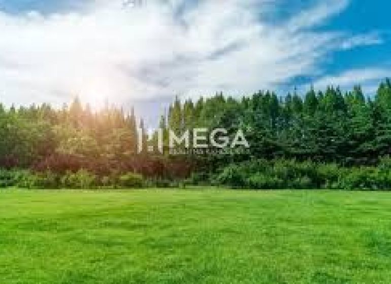 Gardens in Humenné with the 