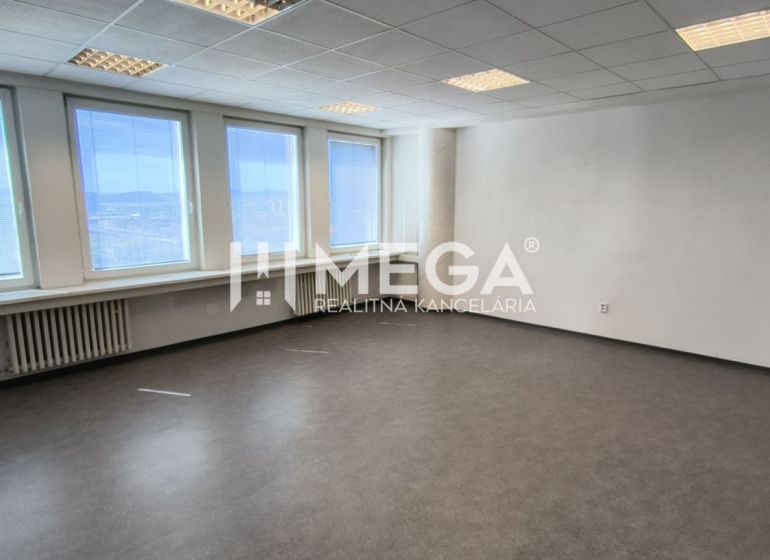 Spacious offices with multiple windows and wood-patterned flooring.