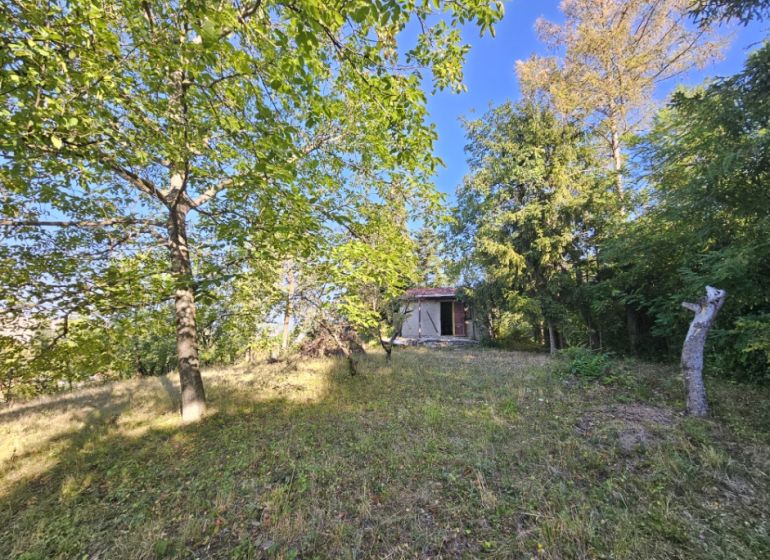 Gardens on Šípková Street in Košice-Krásna with a wooden cottage and abundant greenery.