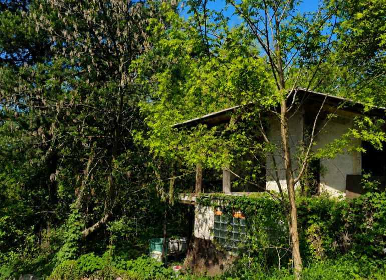 A cottage surrounded by trees and greenery in the gardens on Šípková Street, Košice - Krásna district.
