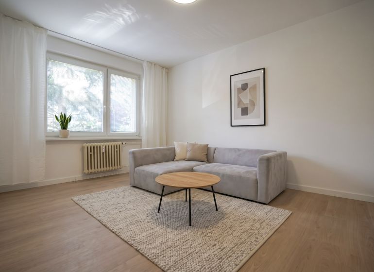 Living room in a studio apartment with a sofa, carpet, and wooden decor flooring.