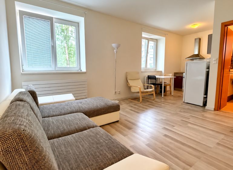 Studio apartment with wood-patterned flooring, a sofa set, and a kitchenette.