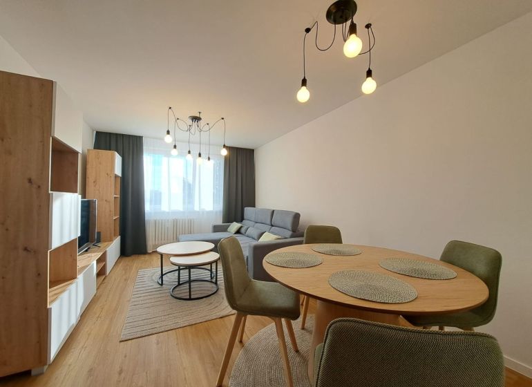 Living room in a two-room apartment with a comfortable sofa and a wooden decor floor.