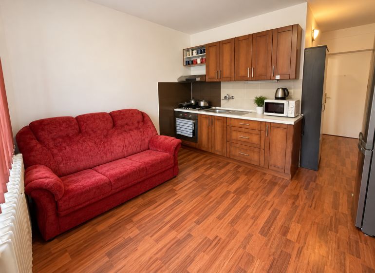 A kitchen in a studio apartment with a red sofa and a wooden decor floor.