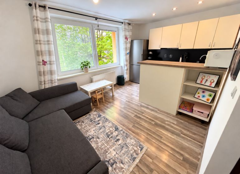 Bright living room in a studio apartment with wood-patterned flooring and a kitchenette.