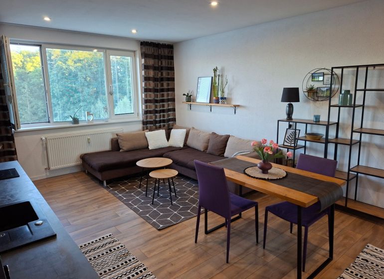 Living room with wood-patterned flooring, a sofa, and a dining table in a studio apartment.