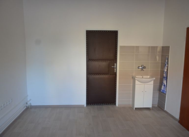 Interior of an office with wood-patterned flooring and a sink.