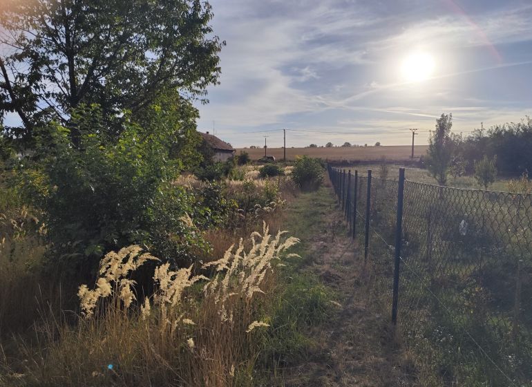 Sunny plots in Jasová with grassy areas and trees, next to the fence.
