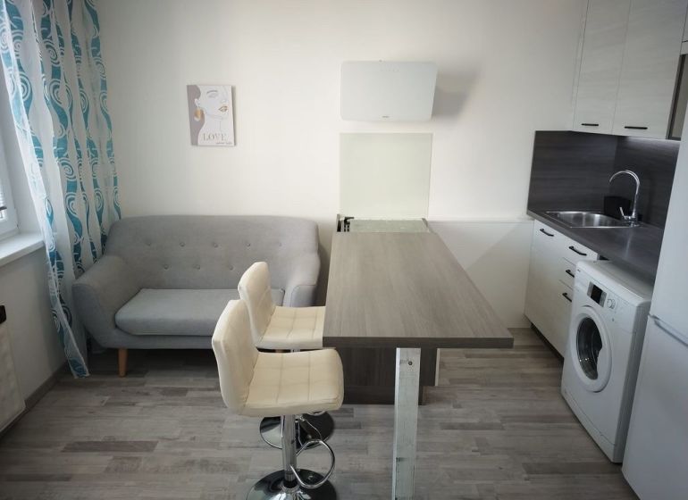 Kitchen and living area in a studio apartment with wood decor and a sofa.