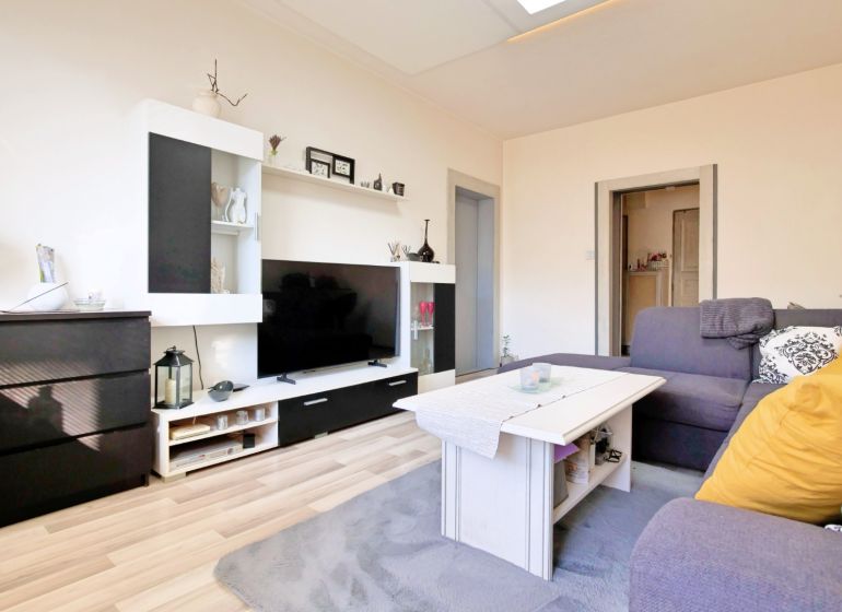 Living room in a two-room apartment with a sofa, decorations, and a wooden decor floor.
