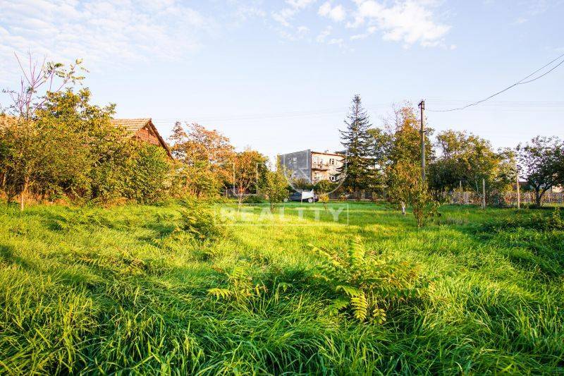 Strekov Land – for living Sale reality Nové Zámky