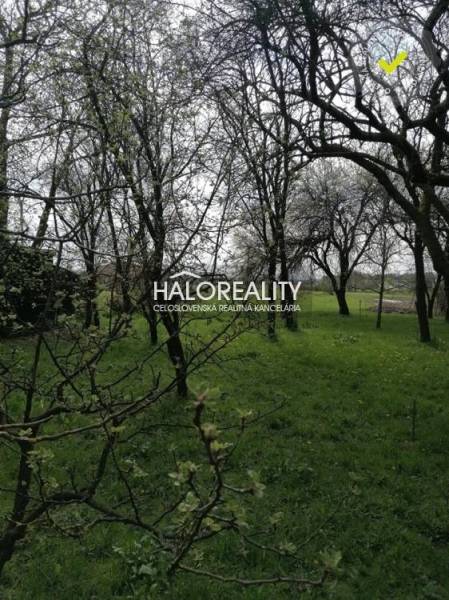 Kalinovo Land – for living Sale reality Poltár