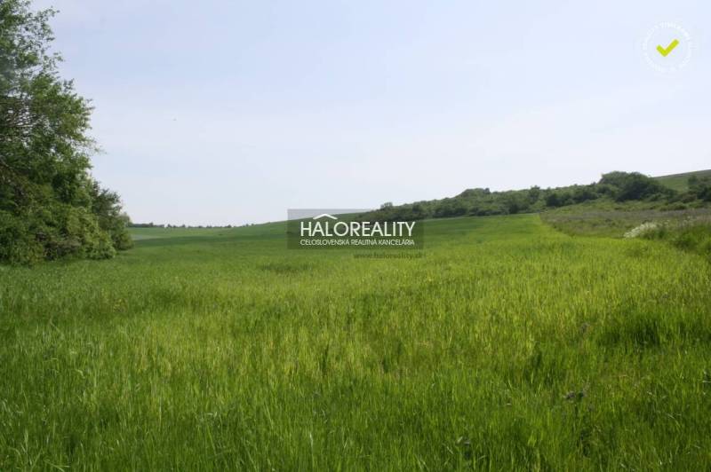 Rozhanovce Agrarian and forest land Sale reality Košice-okolie