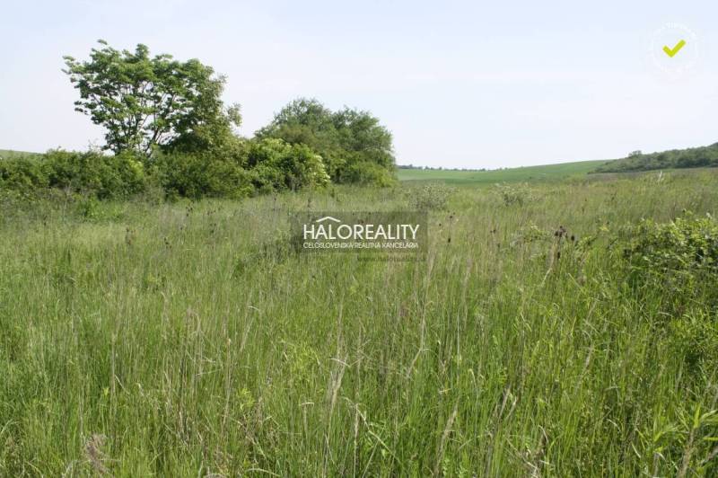 Rozhanovce Agrarian and forest land Sale reality Košice-okolie