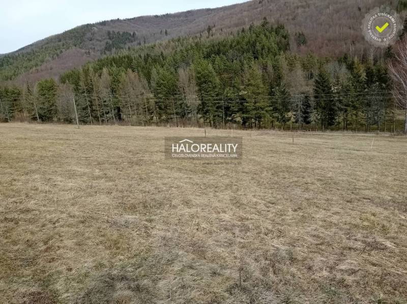 Horný Tisovník Recreational land Sale reality Detva