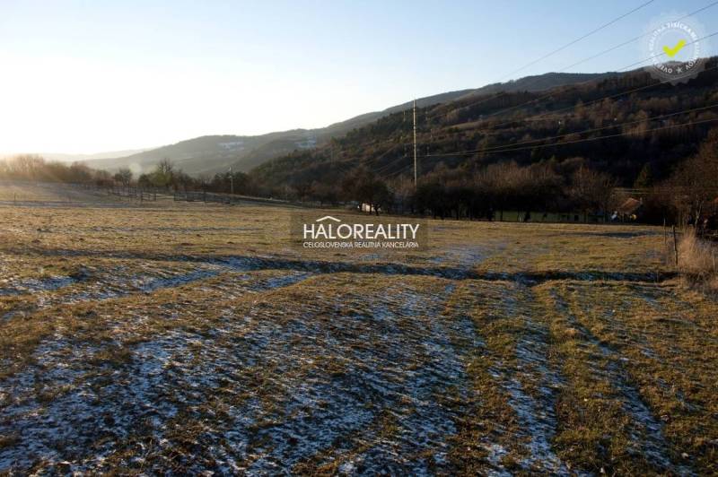 Hrabičov Recreational land Sale reality Žarnovica