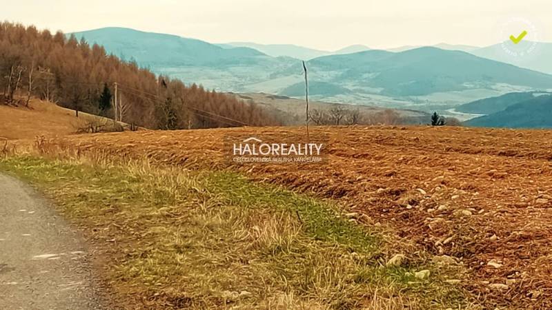 Korytárky Agrarian and forest land Sale reality Detva