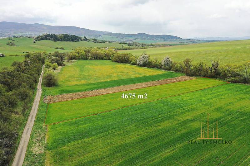 Chmeľovec Agrarian and forest land Sale reality Prešov