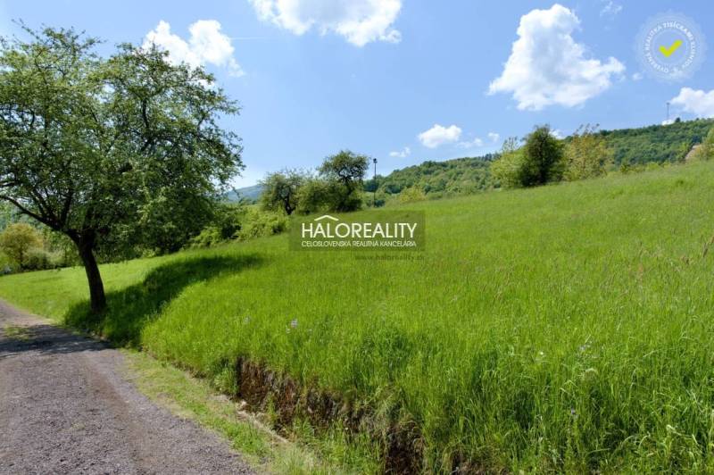 Župkov Recreational land Sale reality Žarnovica