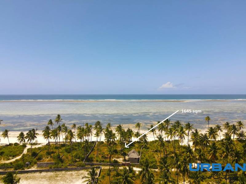 Hassan Bwejuu 1 edited 1.jpg