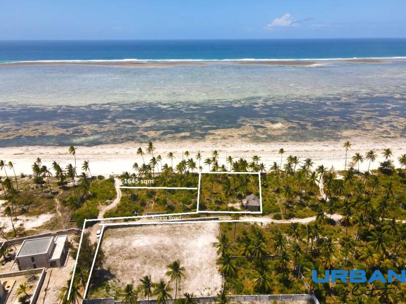 Hassan Bwejuu 4 edited.jpg