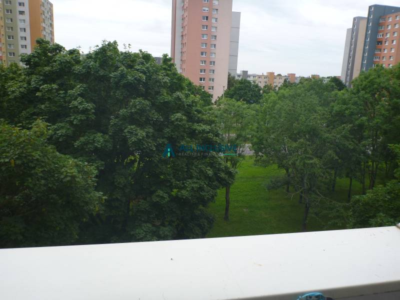 P1060927.JPG