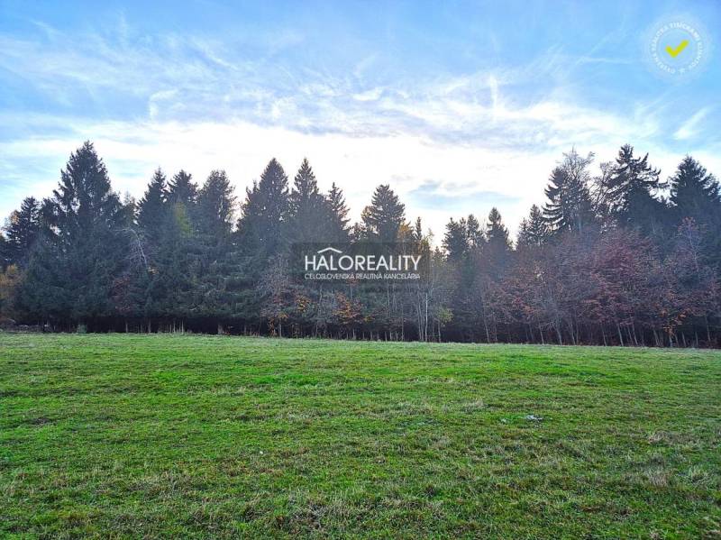 Látky Family house Sale reality Detva