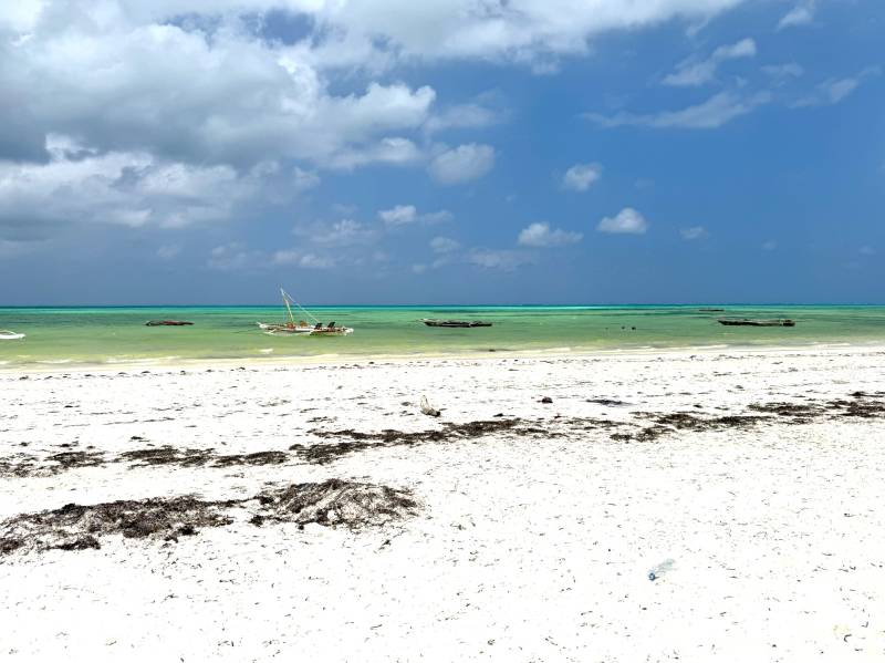 Beach-Paje