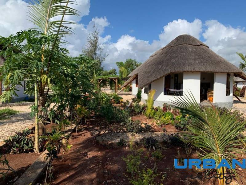 House near beach garden view.jpg