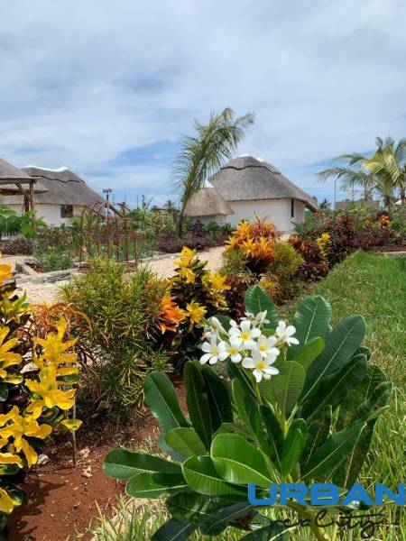 Villa surrounded by a blooming fragrant garden.jpg