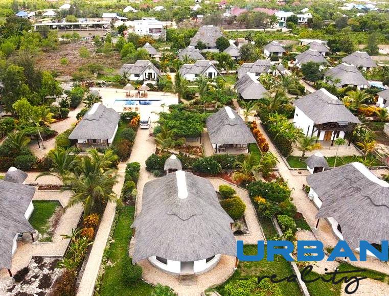 Zanzibar-house-for-sell-garden.jpg